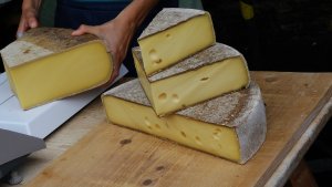 tripofobia de queso suizo