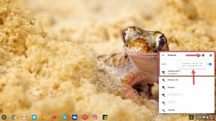 Przycisk informacyjny Chromebook